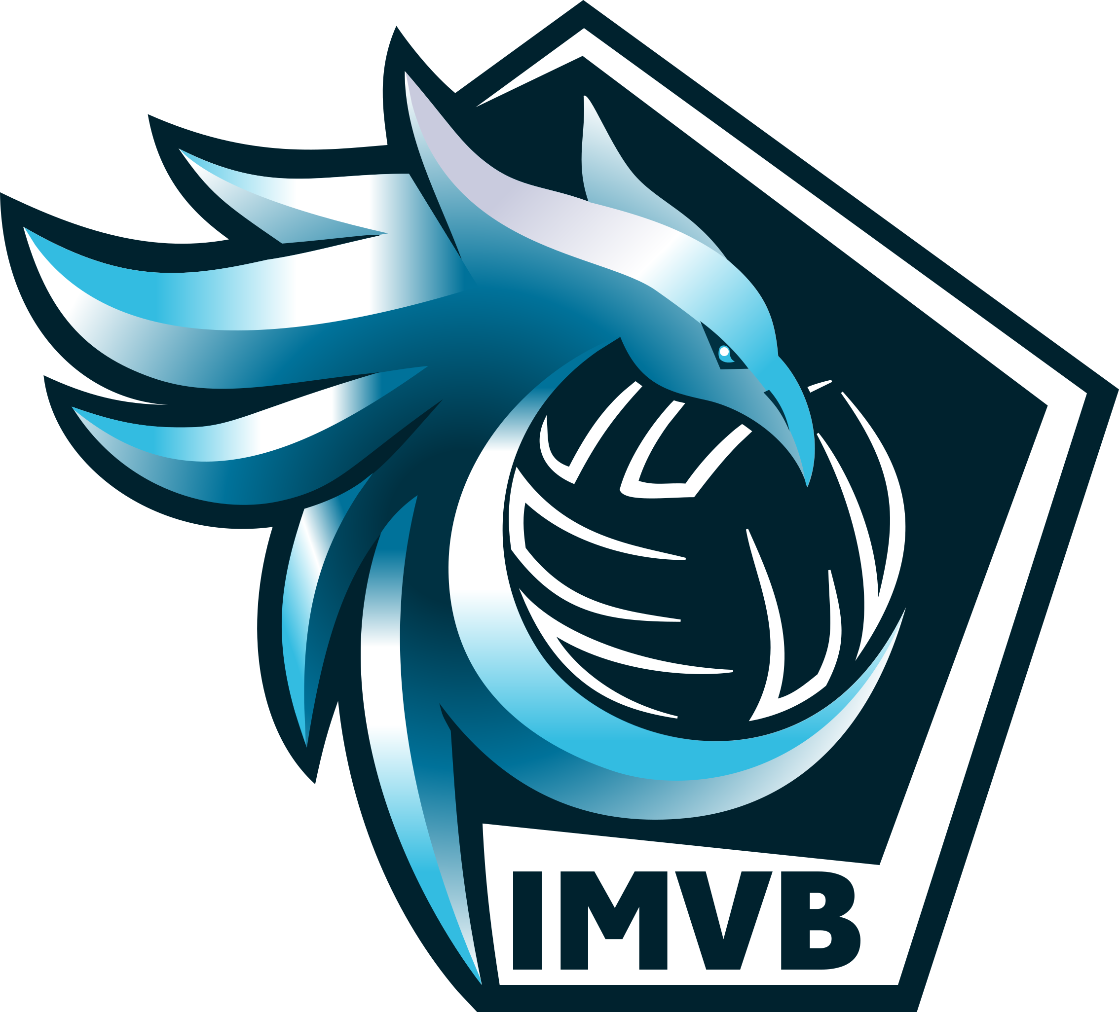 ISSY VOLLEY-BALL