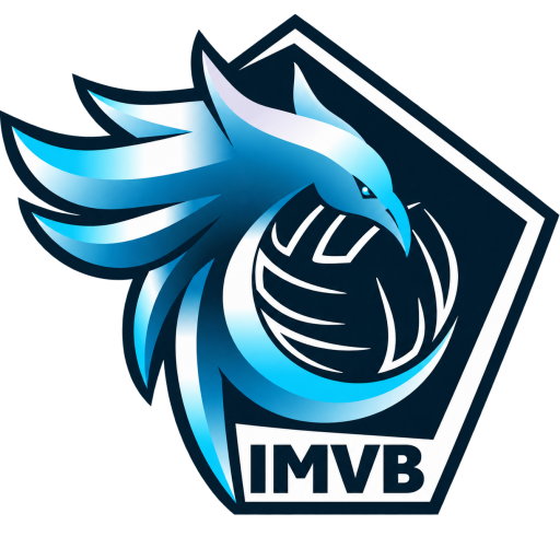 ISSY VOLLEY-BALL logo